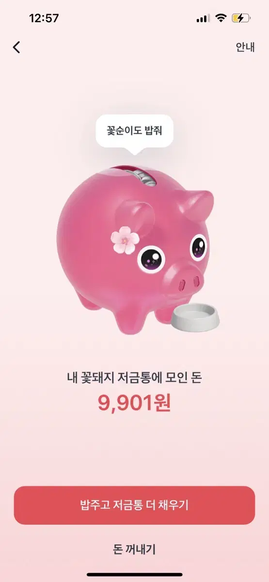 토스 꽃돼지 해주시면 도와주신만큼 돈 드립니다